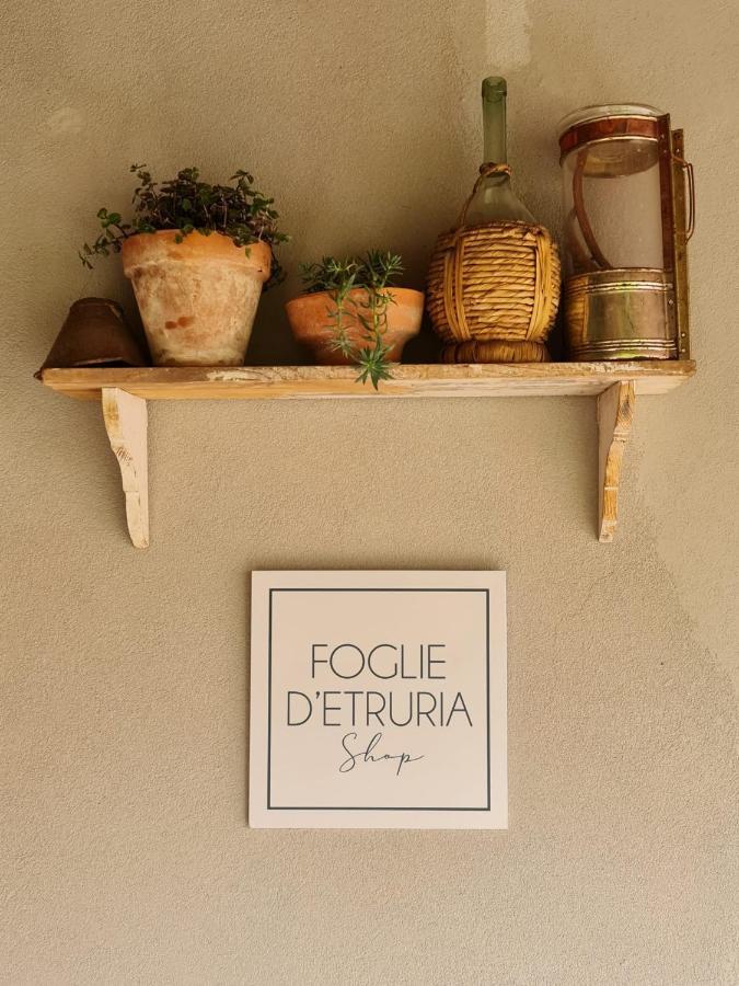Il Pievano B&B Campiglia Marittima Εξωτερικό φωτογραφία