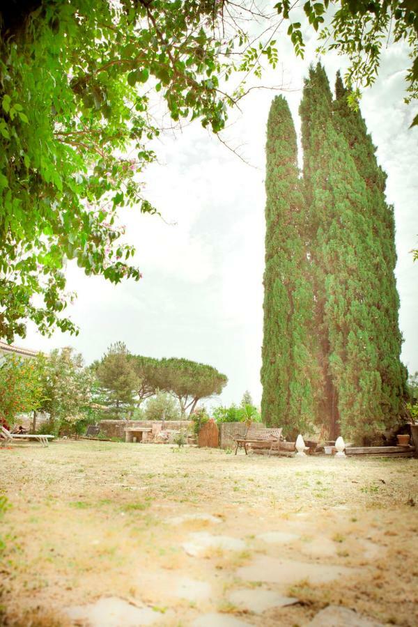 Il Pievano B&B Campiglia Marittima Εξωτερικό φωτογραφία